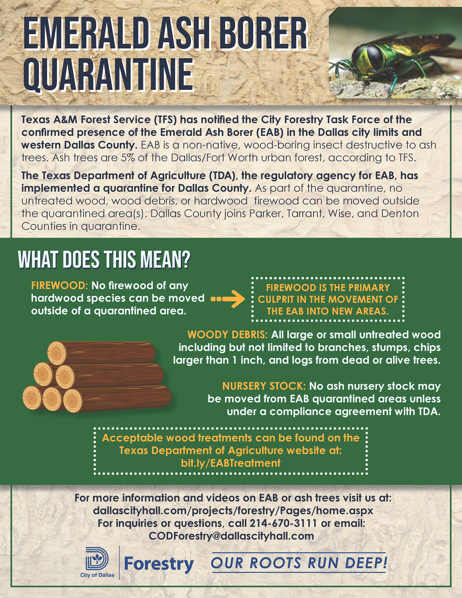 FINAL_Forestry_EABQuarantine_Flyer_English_v4.png