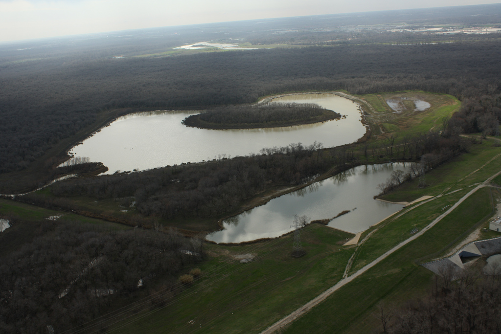 120203 Sump area, Bart Simpson and forest.jpg