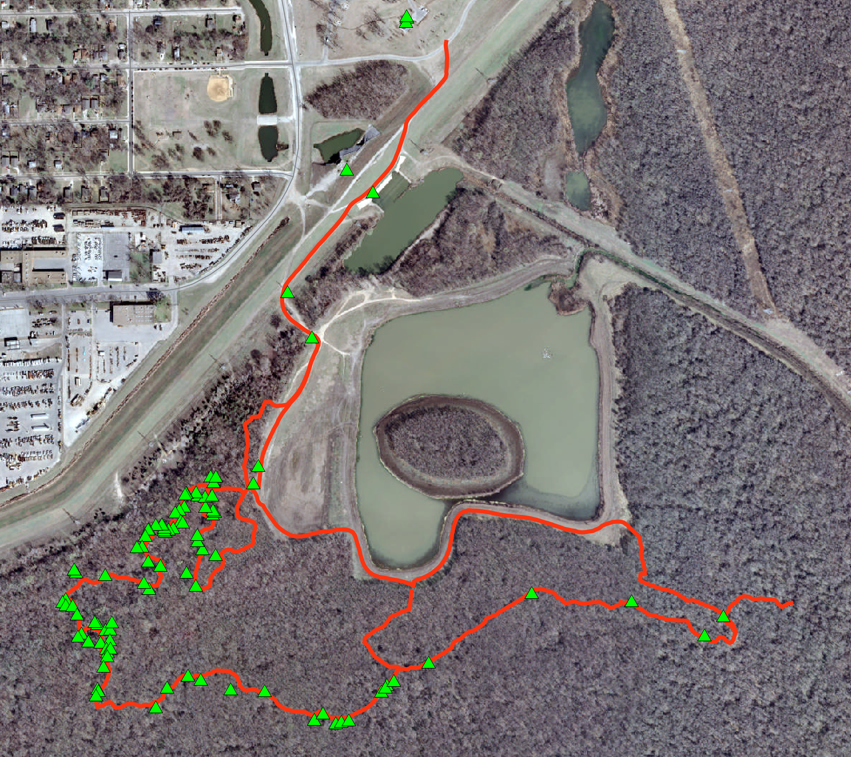 TrailProject-Triangle-for-trees.png