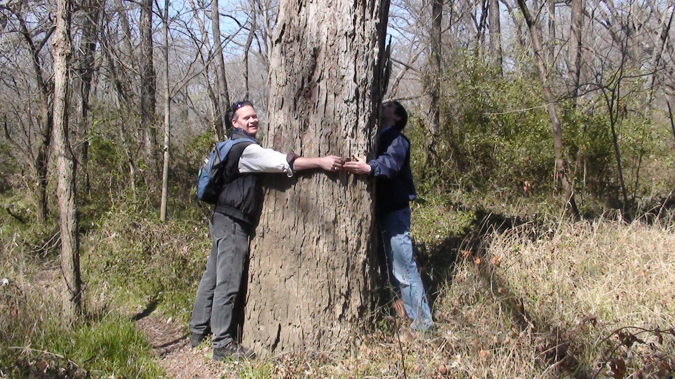 Tree Huggers.JPG