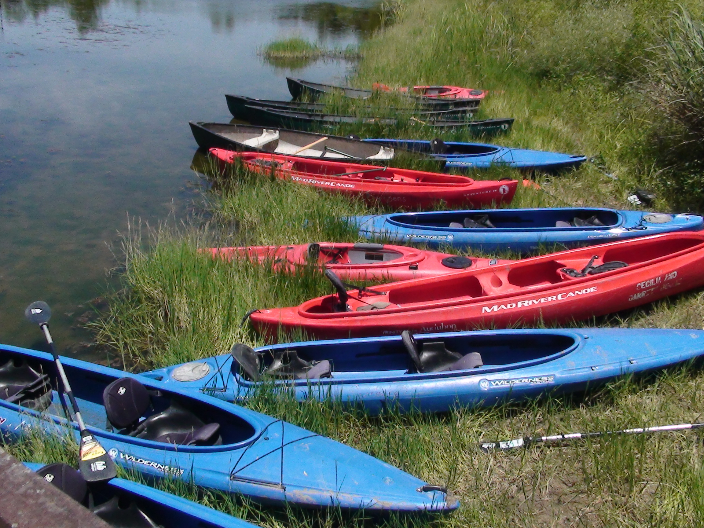 140710 Canoes and Kayaks TRAC.JPG