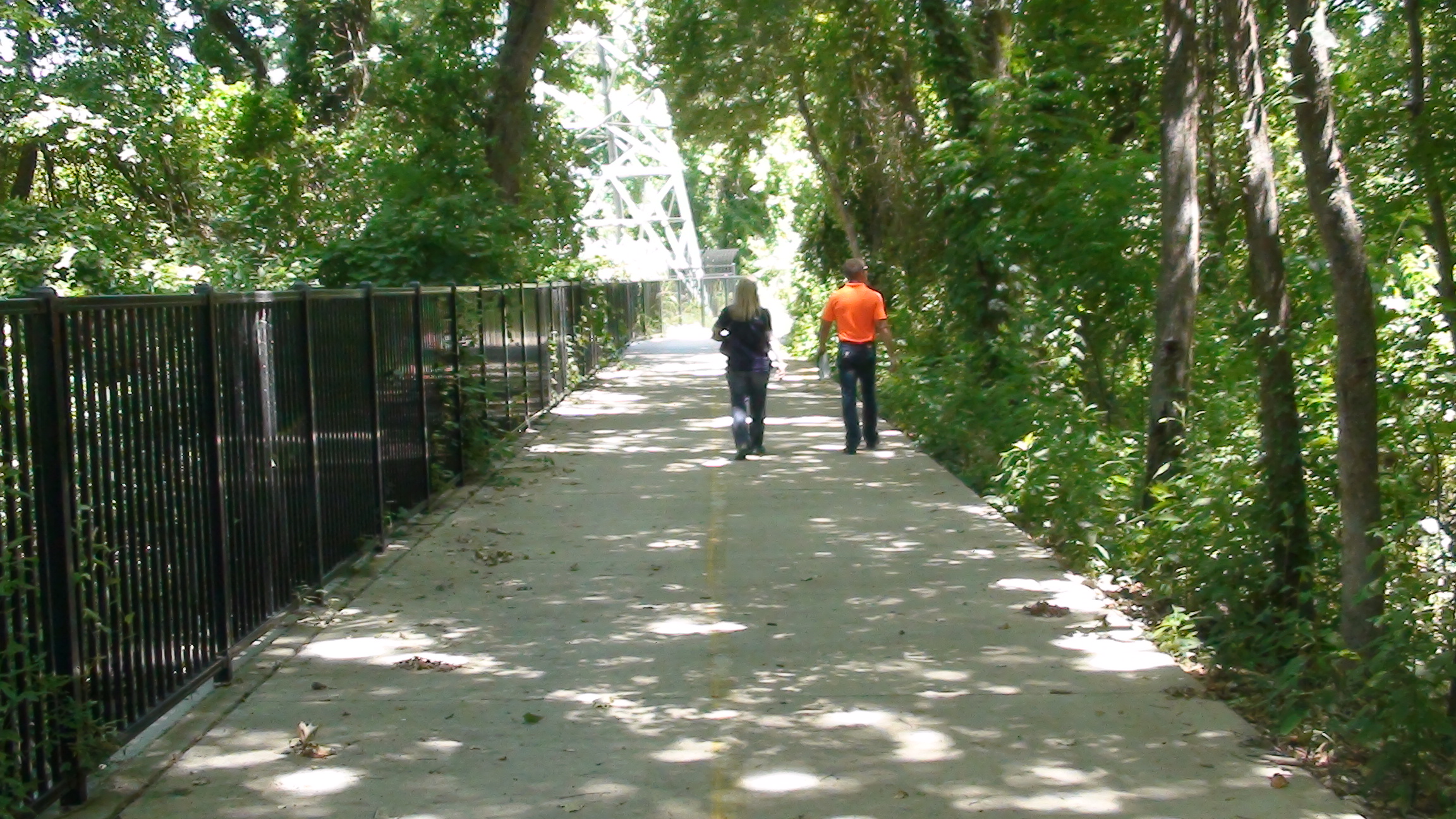 Tree Canopy TTI.JPG