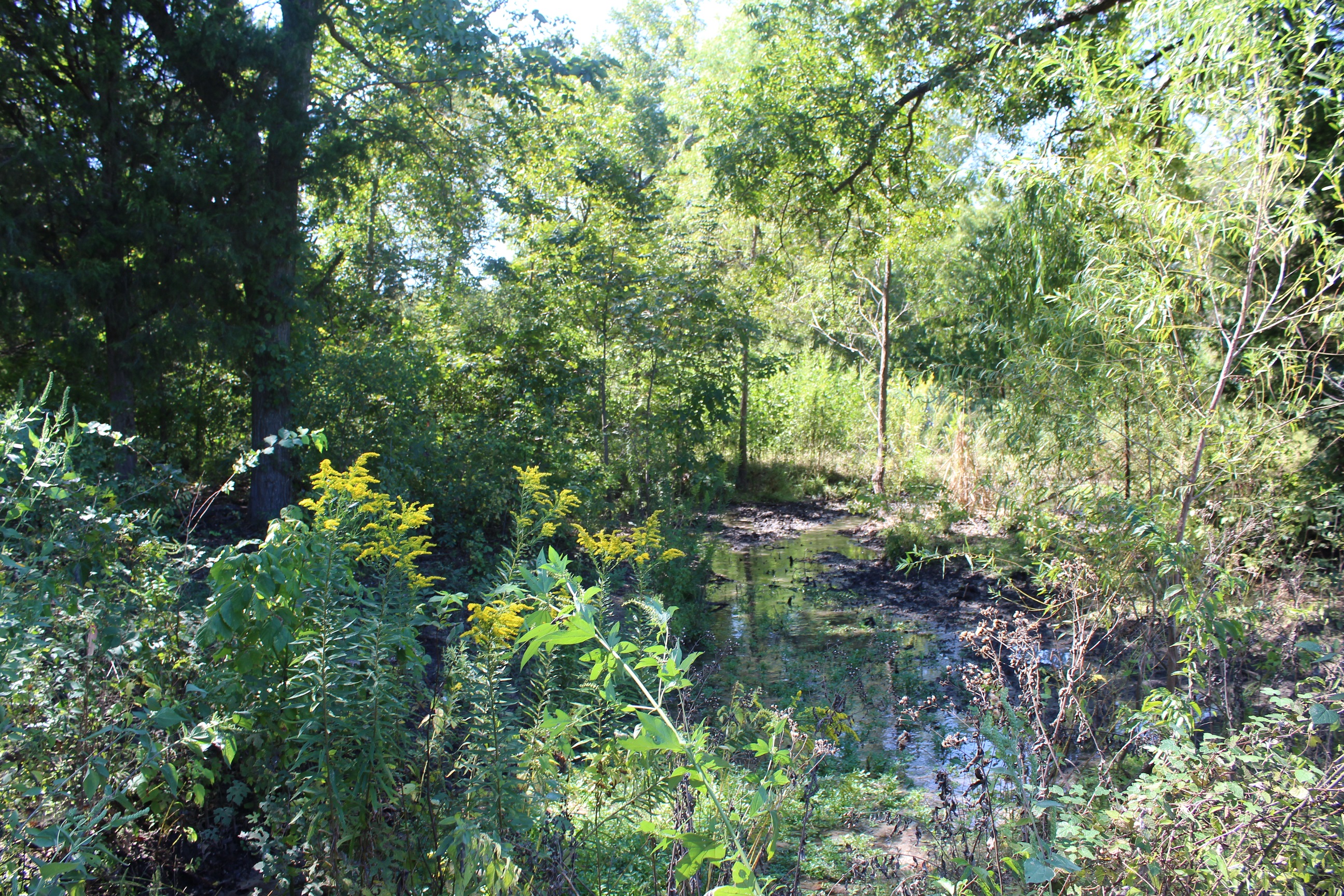 SpringHorizontalResized.jpg